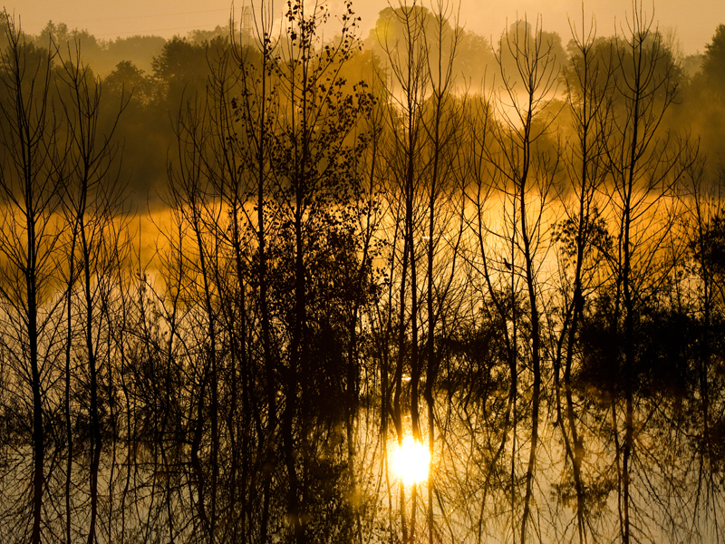 Illustration for article titled 166 Sunrises and Sunsets